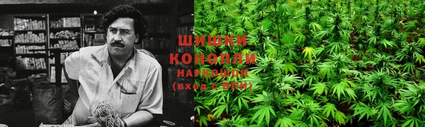 прущие крисы Армянск