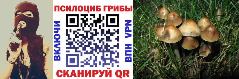 Галлюциногенные грибы Magic Shrooms Почеп