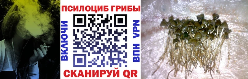 Галлюциногенные грибы ЛСД  Почеп 